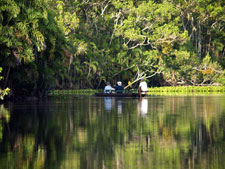 Ecuador-Amazon-La Selva Jungle Lodge